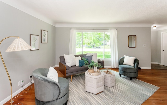 715 Maple St, Waukee, IA 50263 - living room featuring wood finished floors
