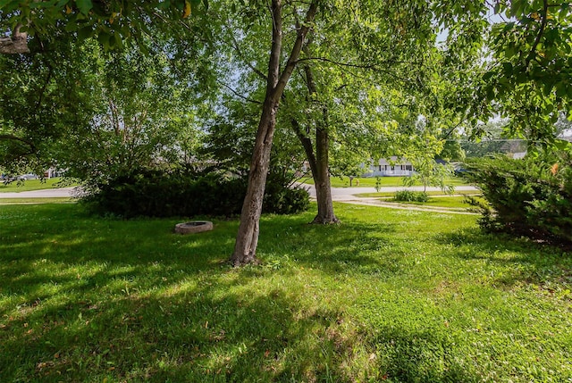 715 Maple St, Waukee, IA 50263 - view of green lawn