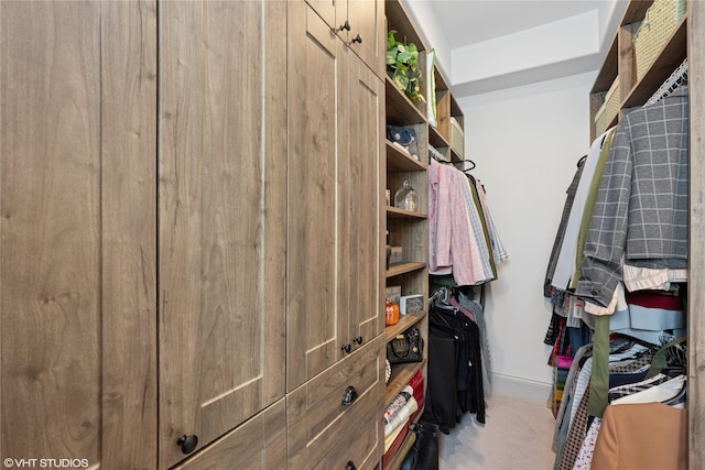 1811 SW Oak St, Ankeny, IA 50023 - view of walk in closet