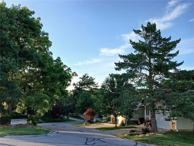 5583 Meredith Dr Unit 5C, Des Moines, IA 50310 - view of asphalt street with curbs