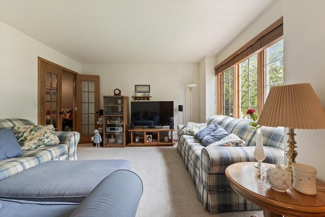 1305 NW Wagner Blvd, Ankeny, IA 50023 - view of carpeted living area