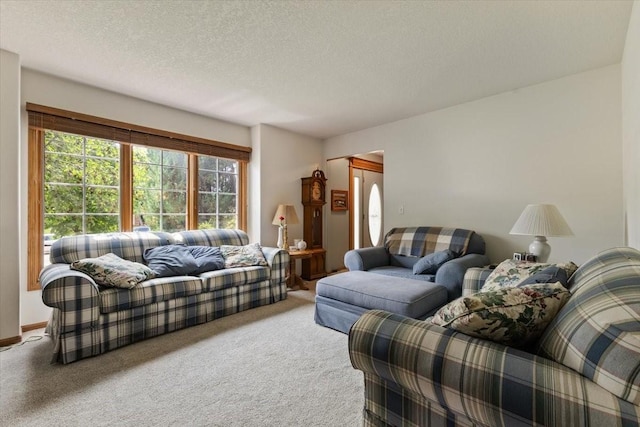 1305 NW Wagner Blvd, Ankeny, IA 50023 - carpeted living room featuring a textured ceiling