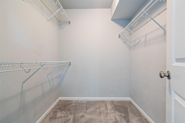 7825 SE 2nd St, Des Moines, IA 50320 - walk in closet featuring carpet flooring
