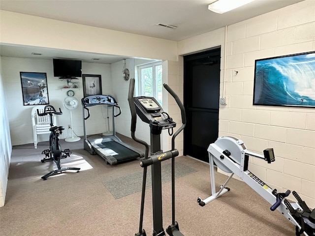 2005 Spring St Unit U203, Grinnell, IA 50112 - exercise room featuring carpet flooring
