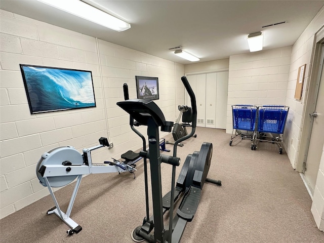 2005 Spring St Unit U203, Grinnell, IA 50112 - exercise area with concrete block wall