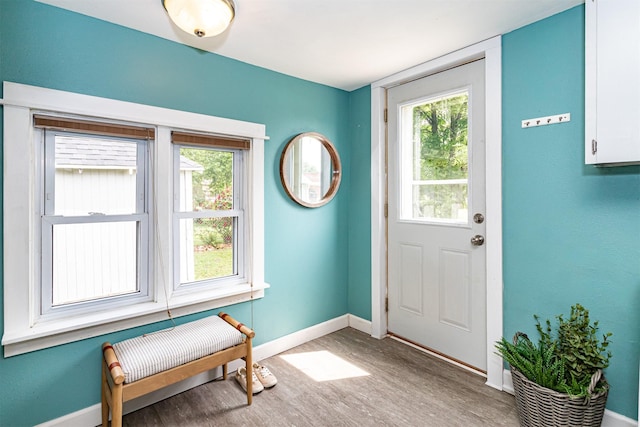 1229 9th St, Nevada, IA 50201 - foyer with wood finished floors and healthy amount of natural light