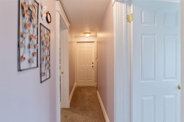 2800 E Douglas Ave, Des Moines, IA 50317 - corridor with carpet and baseboards
