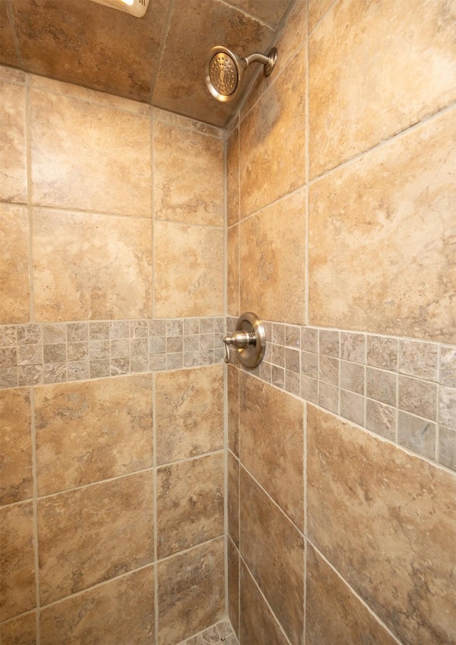 905 SE Meadowlark Dr, Grimes, IA 50111 - bathroom view of a tile shower