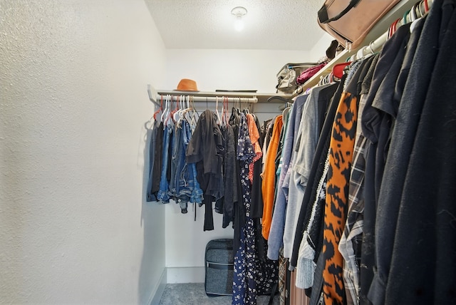 455 NW 2nd St, Earlham, IA 50072 - walk in closet featuring carpet