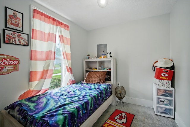 455 NW 2nd St, Earlham, IA 50072 - carpeted bedroom featuring multiple windows