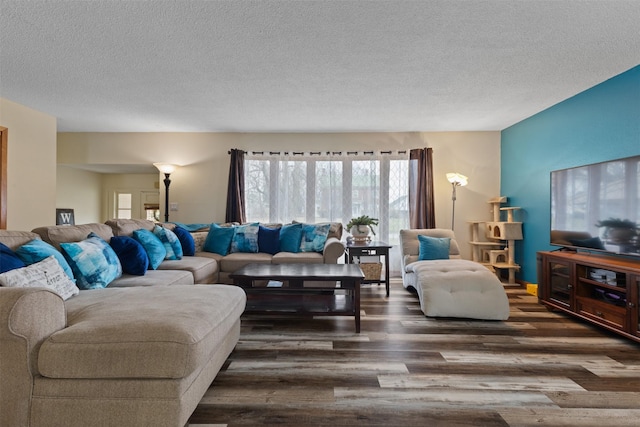 102 Kellogg Ave, Dallas Center, IA 50063 - living area with dark wood finished floors and a textured ceiling