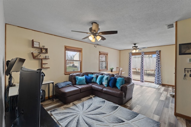 102 Kellogg Ave, Dallas Center, IA 50063 - living room with ceiling fan, wood finished floors, healthy amount of natural light, and a textured ceiling