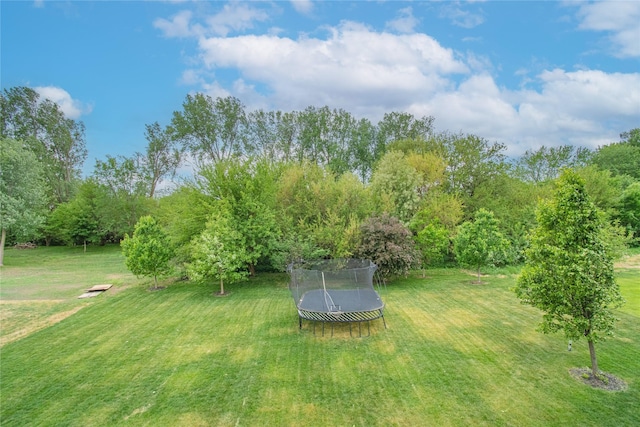 2416 NW Springbrooke Dr, Grimes, IA 50111 - view of grassy yard with a trampoline