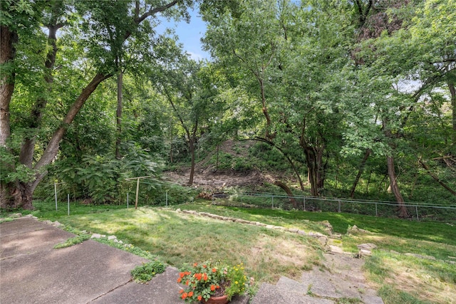 2326 Adams Ave, Des Moines, IA 50310 - view of yard featuring a wooded view