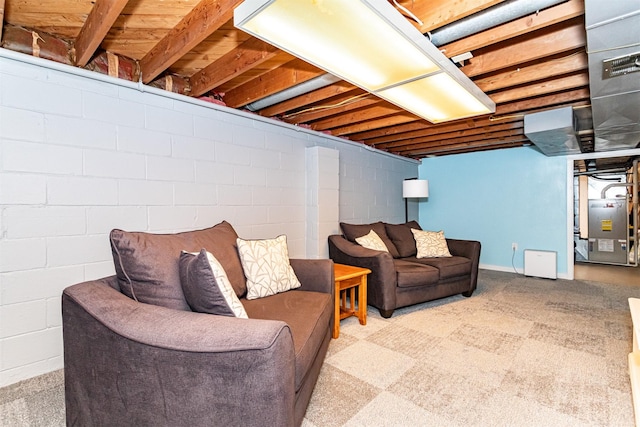 1621 Carroll Ave, Ames, IA 50010 - finished below grade area with carpet flooring