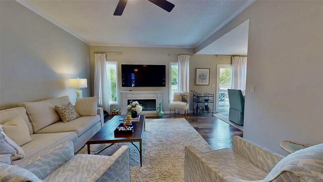 402 SW 48th St, Ankeny, IA 50023 - photo 3