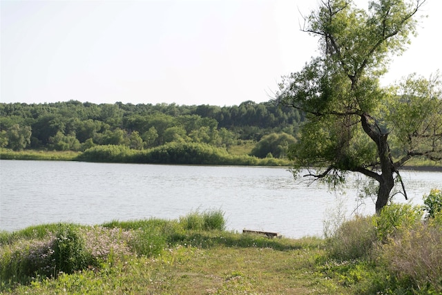 106 Park Ridge Dr, Otley, IA 50214 - water view featuring a heavily wooded area