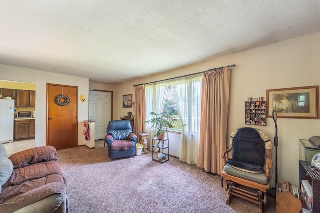516 Walnut St, De Soto, IA 50069 - living area featuring light carpet and a textured ceiling
