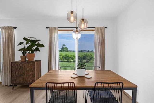 306 NE 44th St, Ankeny, IA 50021 - photo 6