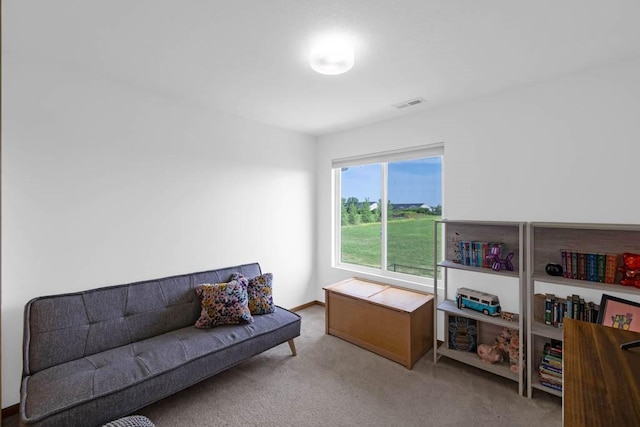 306 NE 44th St, Ankeny, IA 50021 - photo 20
