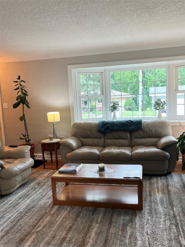 4301 43rd St, Des Moines, IA 50310 - living area with a textured ceiling and wood finished floors