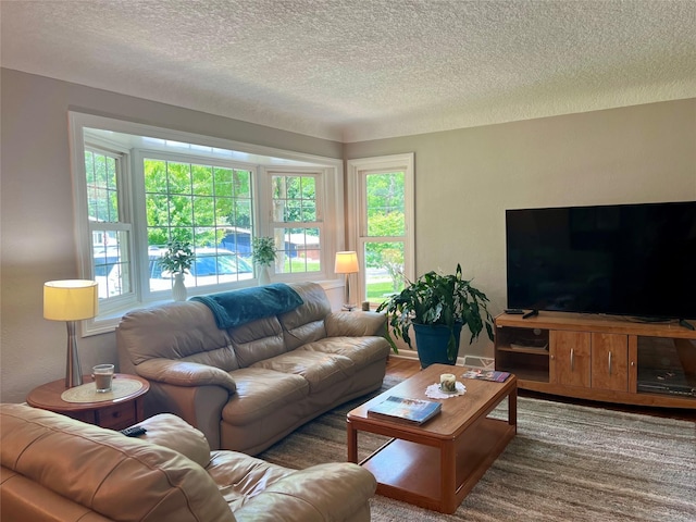 4301 43rd St, Des Moines, IA 50310 - living area with a textured ceiling and plenty of natural light