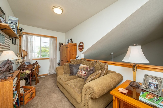 5221 Village Run Ave Unit 1201, Des Moines, IA 50317 - view of carpeted living area