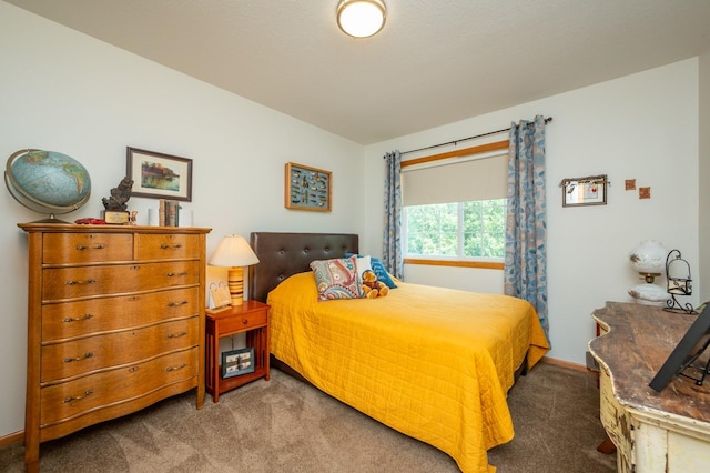 5221 Village Run Ave Unit 1201, Des Moines, IA 50317 - view of carpeted bedroom
