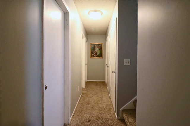 204 25th Ave SW, Altoona, IA 50009 - hall with light carpet and baseboards