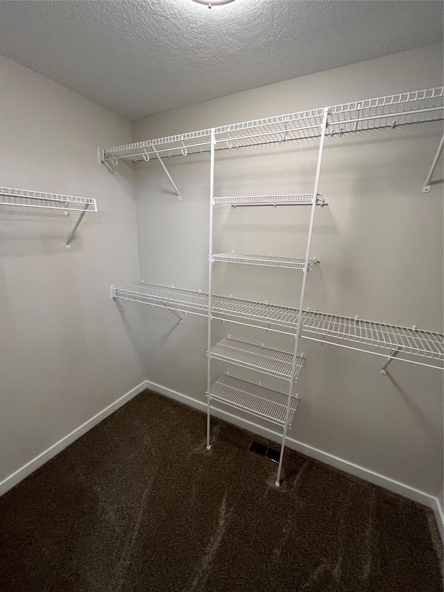 711 W N Ave, Norwalk, IA 50211 - walk in closet with carpet floors
