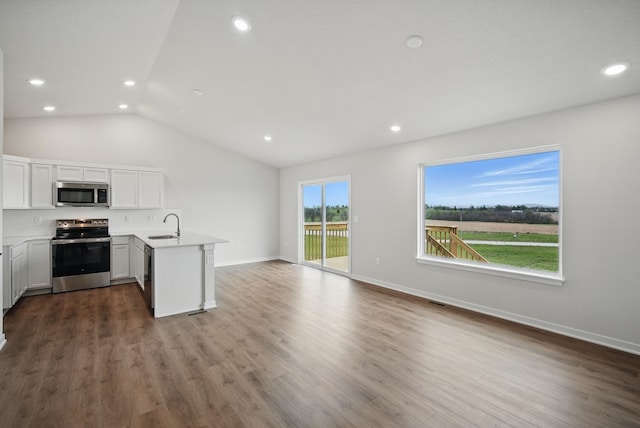 4270 Grover Woods Ln, Des Moines, IA 50317 - kitchen with appliances with stainless steel finishes, a peninsula, vaulted ceiling, open floor plan, and decorative backsplash