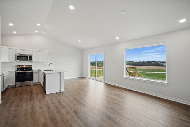 4270 Grover Woods Ln, Des Moines, IA 50317 - kitchen with appliances with stainless steel finishes, a peninsula, vaulted ceiling, open floor plan, and decorative backsplash