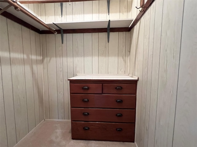 702 W 6th St S, Newton, IA 50208 - walk in closet featuring carpet floors