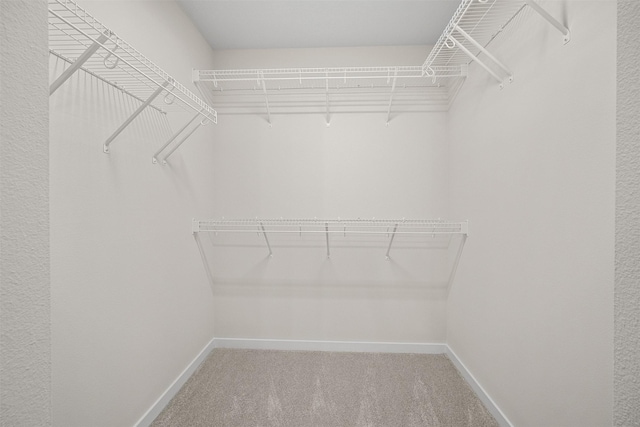 4400 Honey Bee Rdg, Des Moines, IA 50317 - walk in closet with light colored carpet