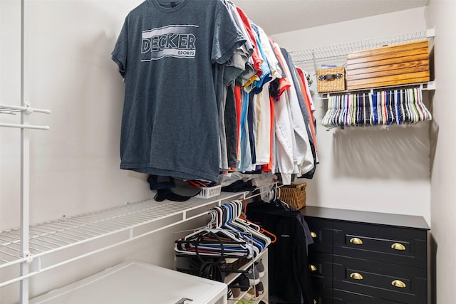 2128 NW 156th St Unit 31, Clive, IA 50325 - view of walk in closet