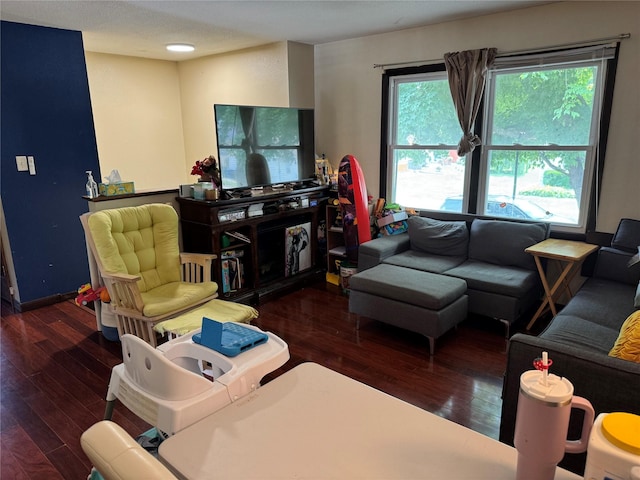 1105 Bundy St, Des Moines, IA 50315 - living room with hardwood / wood-style flooring
