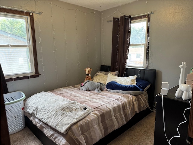 1105 Bundy St, Des Moines, IA 50315 - view of carpeted bedroom