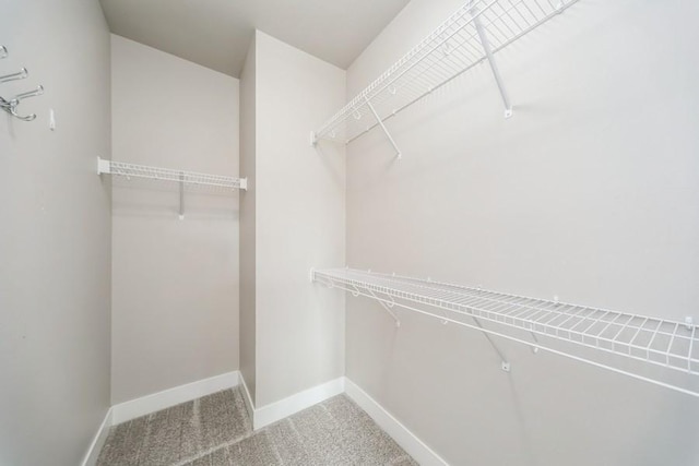 1636 S Redtail Ave, West Des Moines, IA 50265 - walk in closet featuring carpet floors