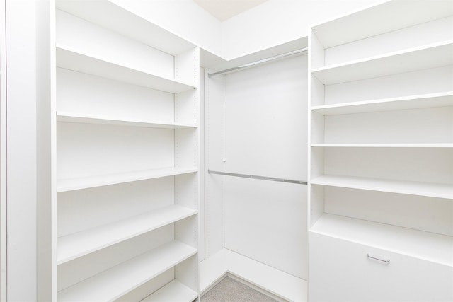 8151 Chambery Blvd, Johnston, IA 50131 - view of walk in closet