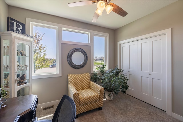 3210 NE 17th St, Ankeny, IA 50021 - living area with carpet and a ceiling fan