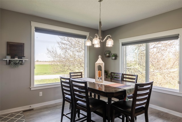 3210 NE 17th St, Ankeny, IA 50021 - dining space featuring a chandelier, wood finished floors, and plenty of natural light