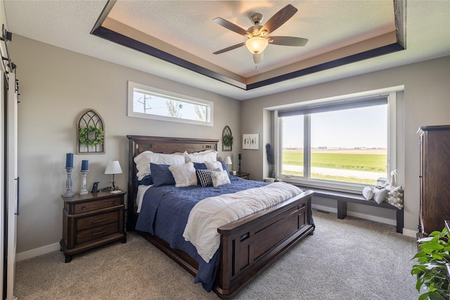3210 NE 17th St, Ankeny, IA 50021 - bedroom with a raised ceiling, light carpet, a barn door, a ceiling fan, and a textured ceiling