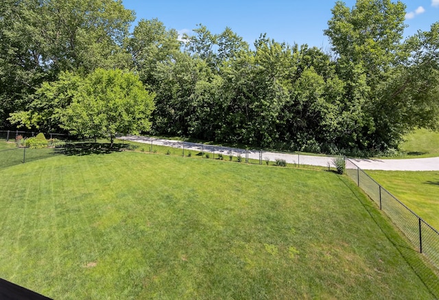 300 NW Sunset Ln, Grimes, IA 50111 - view of yard