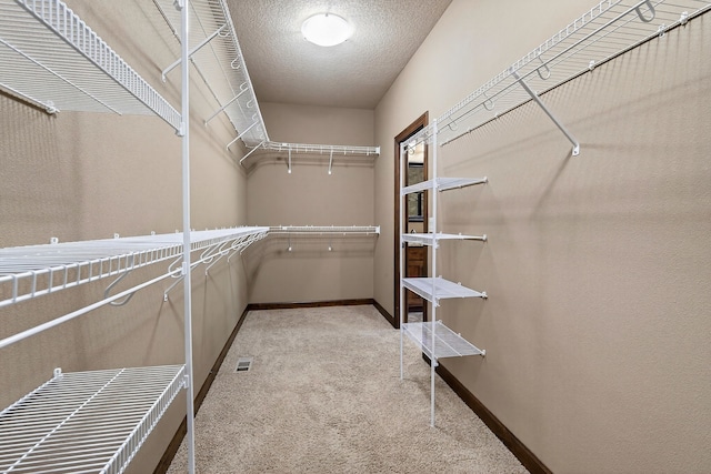 300 NW Sunset Ln, Grimes, IA 50111 - spacious closet with carpet