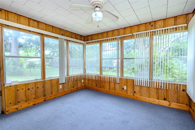 4008 Douglas Ave, Des Moines, IA 50310 - unfurnished sunroom with plenty of natural light, carpet flooring, and wooden walls