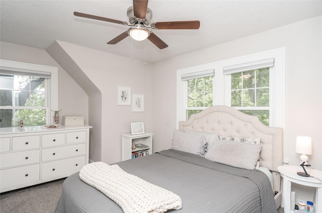 5617 Grand Ave, Des Moines, IA 50312 - bedroom with ceiling fan and carpet