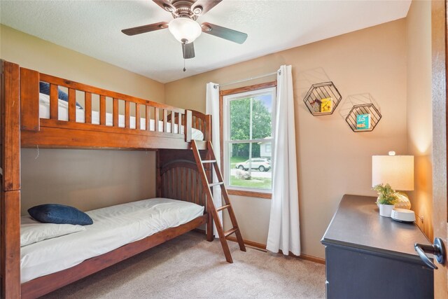 301 Maple Ave, Nevada, IA 50201 - photo 15