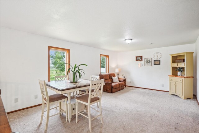 301 Maple Ave, Nevada, IA 50201 - photo 19