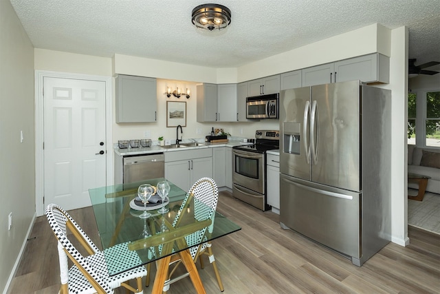 401 NE Harvey St, Grimes, IA 50111 - kitchen with stainless steel appliances, gray cabinetry, light wood-style flooring, light countertops, and a textured ceiling