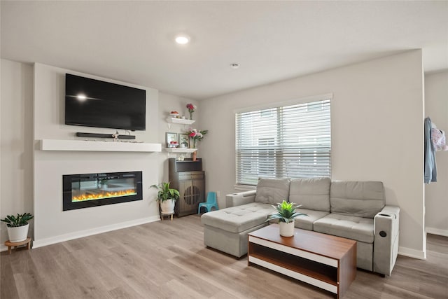 4410 NE Mongoose Ln, Ankeny, IA 50021 - living area featuring wood finished floors, a glass covered fireplace, and recessed lighting